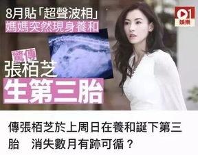 娱乐圈吃瓜实锤是谁的小说